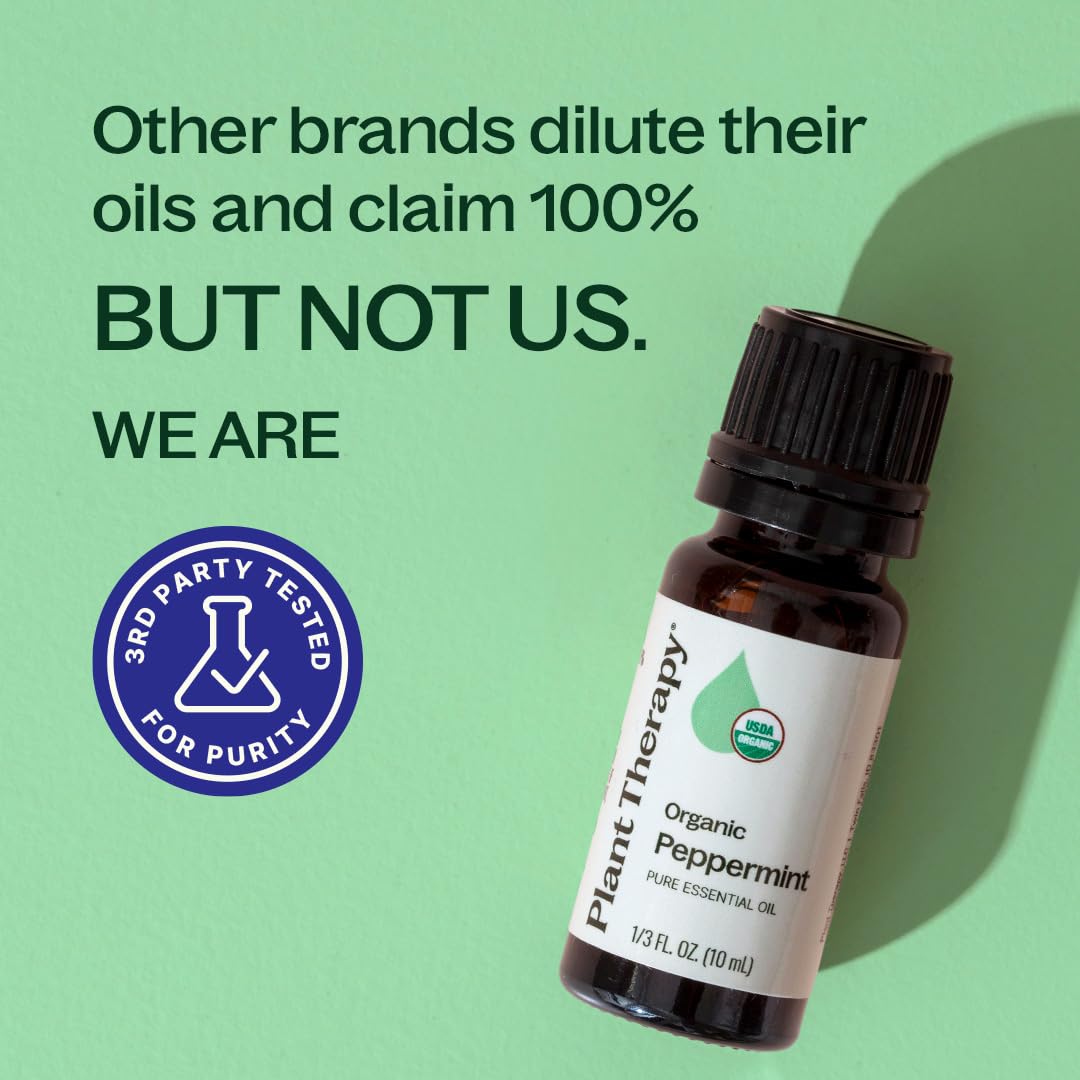 Plant Therapy menta 30 mL junto a monedas para comparación de tamaño práctica