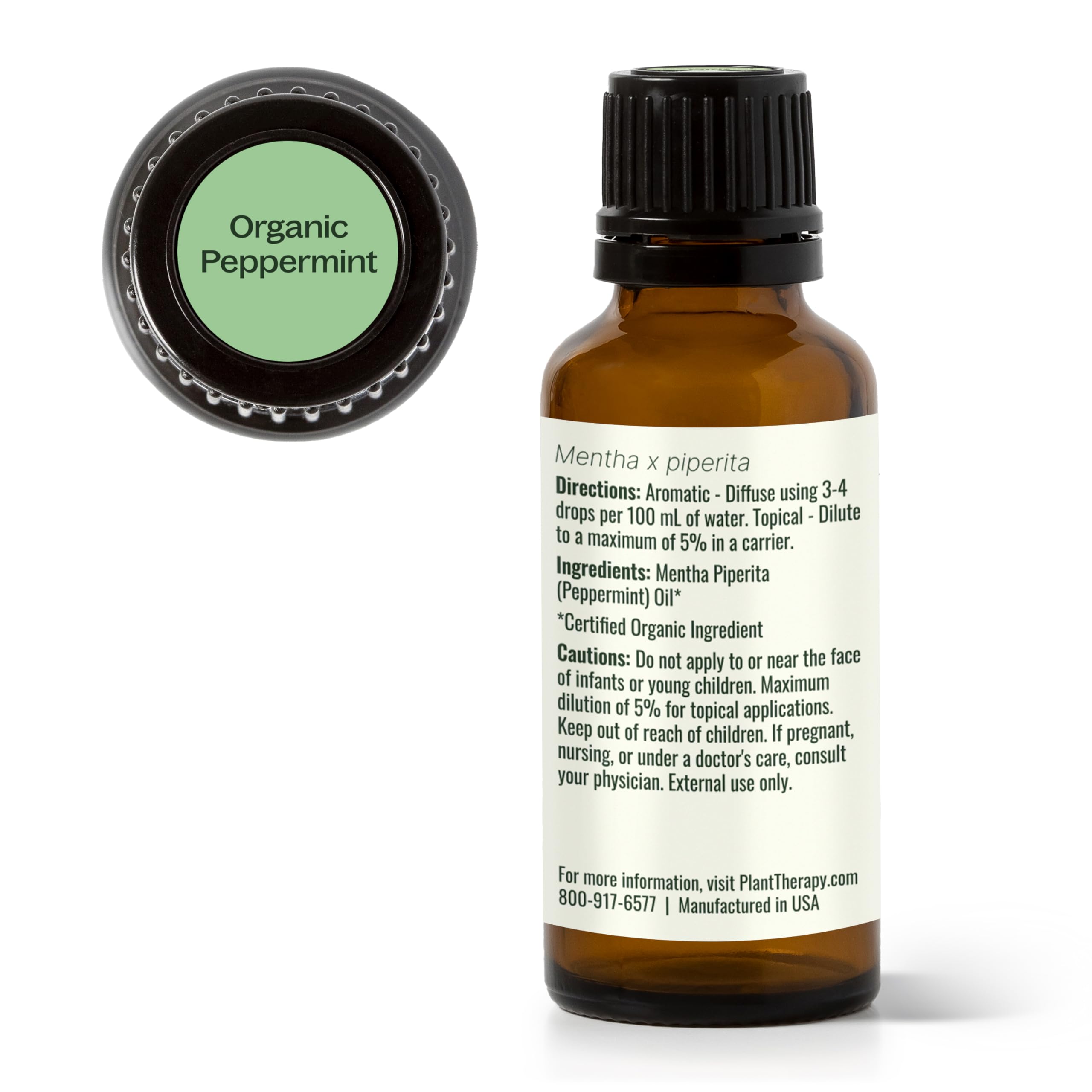 Plant Therapy menta en escritorio de oficina para concentración y energía
