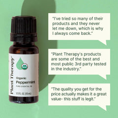 Plant Therapy aceite de menta en difusor para ambiente vigorizante