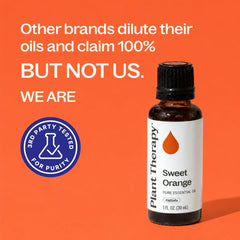 Plant Therapy botella junto a regla para comparar el tamaño 30 mL