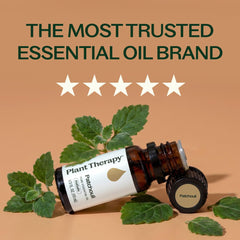 Difusor en sala con Plant Therapy Patchouli, ambiente cálido y relajante