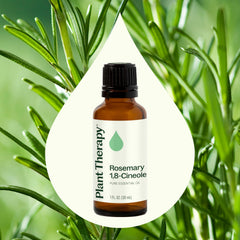 Plant Therapy comparación de tamaño del frasco de 30 ml junto a una moneda para escala