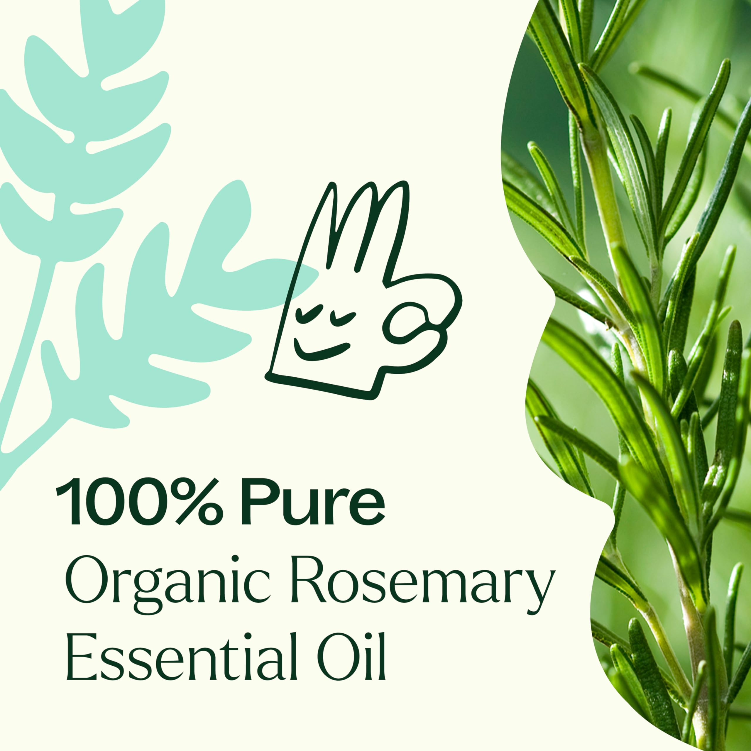 Plant Therapy aceite en difusor creando ambiente revitalizante