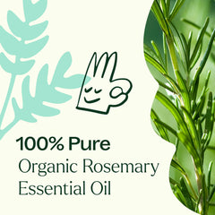 Plant Therapy aceite en difusor creando ambiente revitalizante