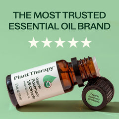 Plant Therapy gota de aceite de romero en superficie, pureza y concentración