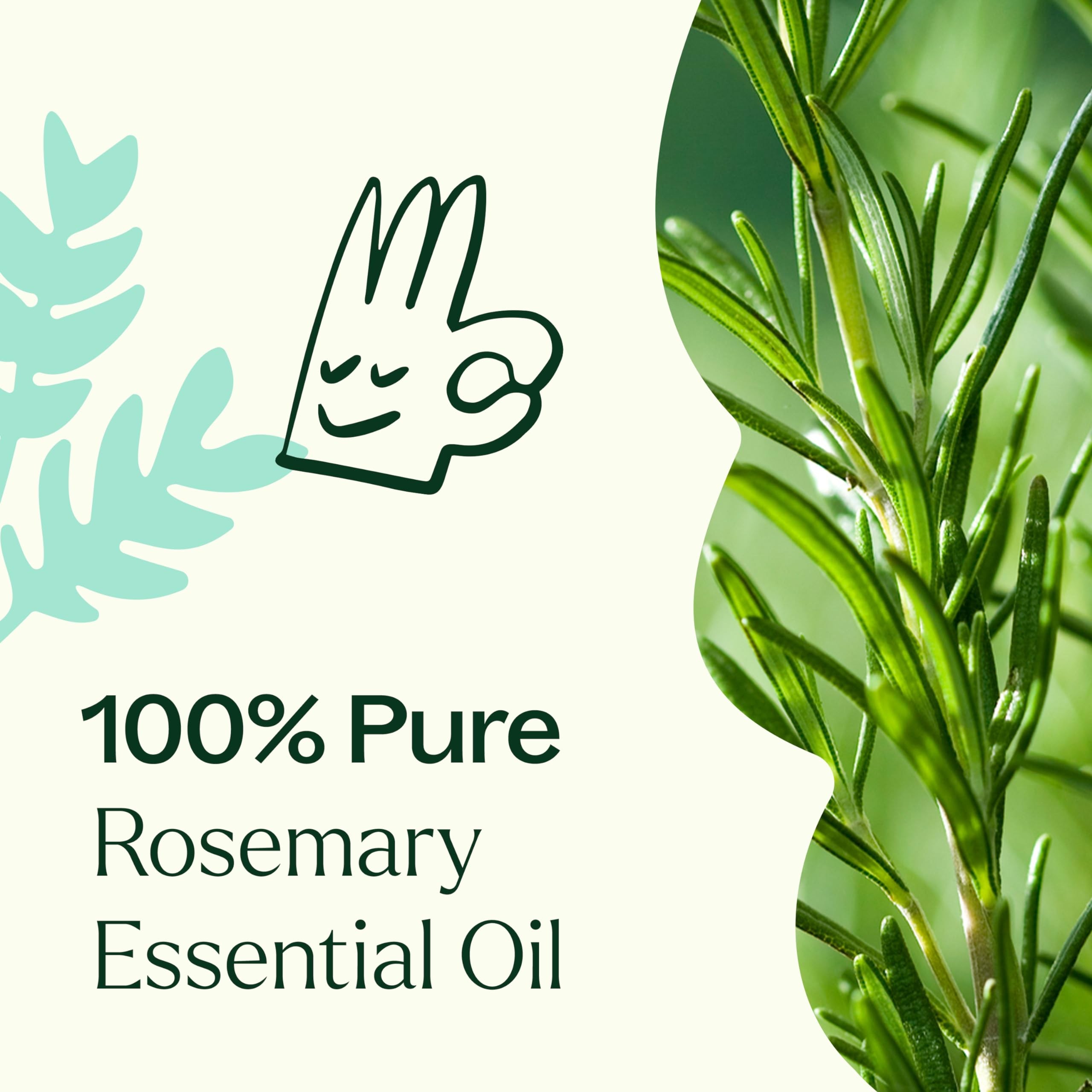 Plant Therapy aceite de romero en difusor de cristal ofreciendo aroma revitalizante