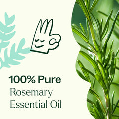 Plant Therapy aceite de romero en difusor de cristal ofreciendo aroma revitalizante