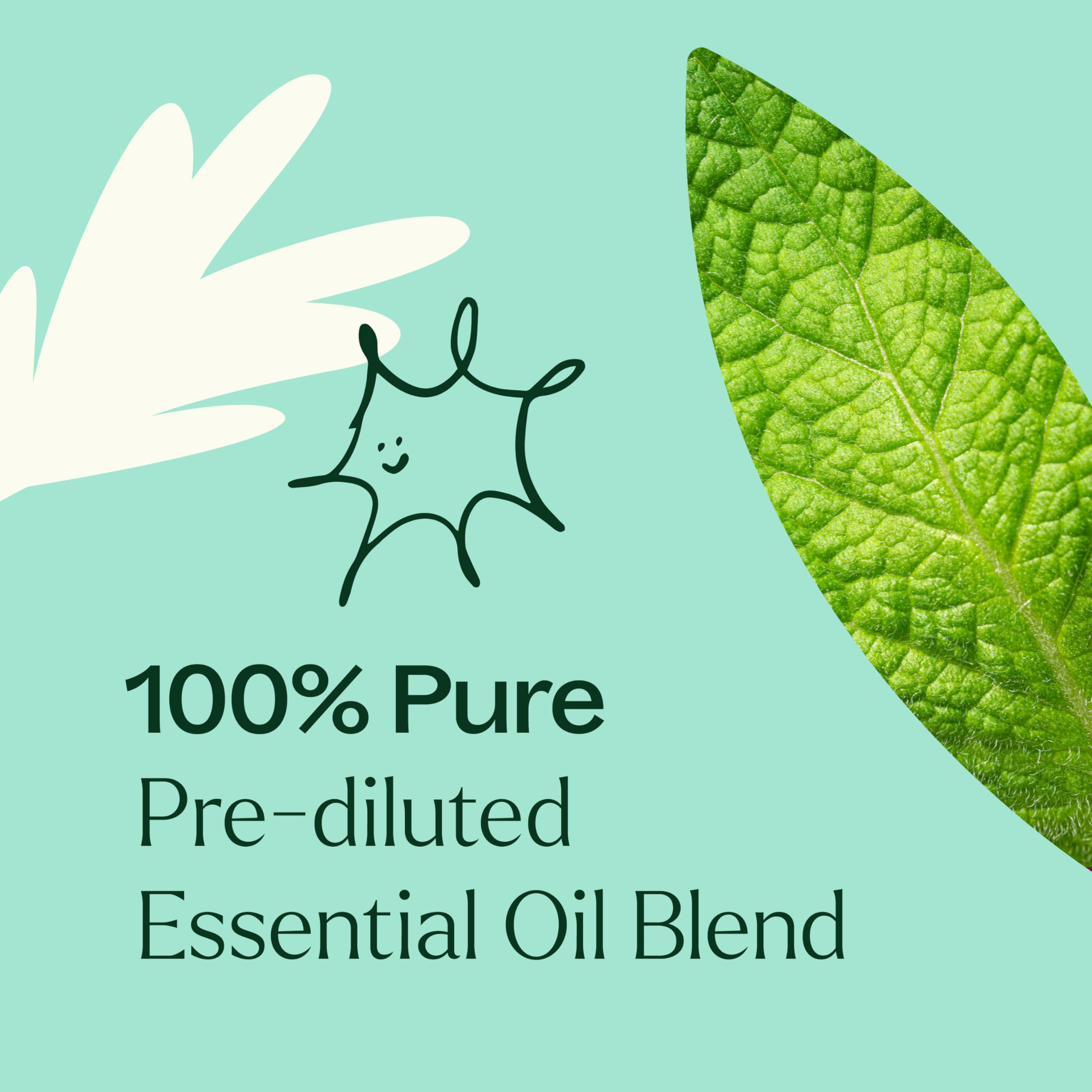 Plant Therapy comparación de tamaño 10 mL junto a moneda para referencia