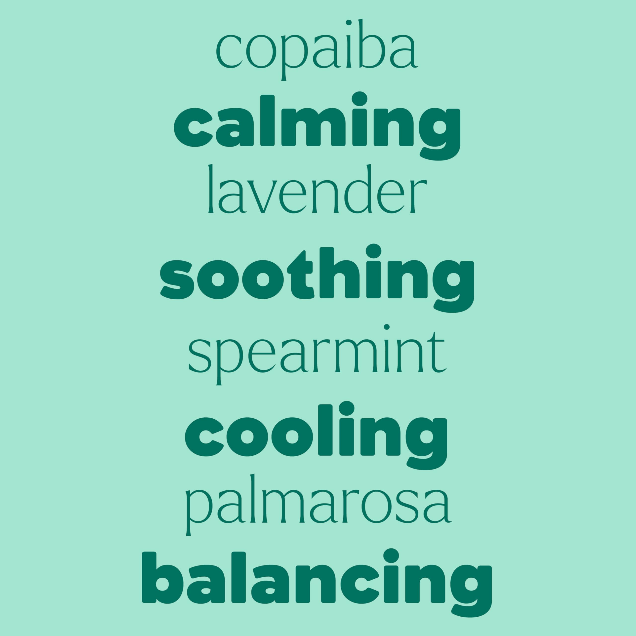 Plant Therapy comparativa de tamaño 10 mL junto a objetos cotidianos, portátil