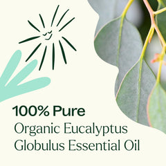 Plant Therapy aceite en difusor, ambiente fresco y atención mejorada