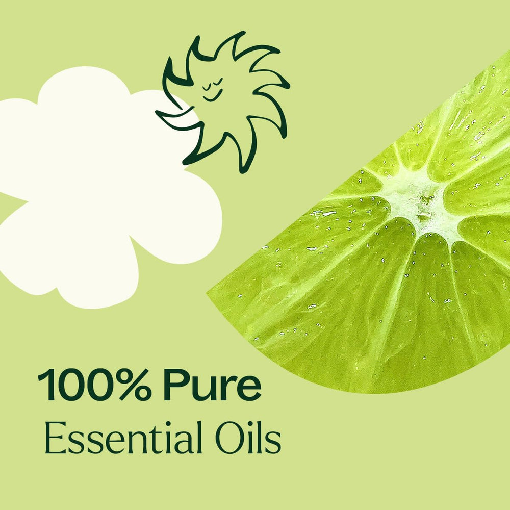 Plant Therapy preparación de aceite corporal con aceites portadores