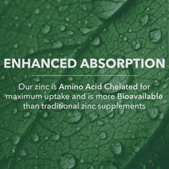 PlantFusion etiqueta nutricional legible con ingredientes y certificaciones