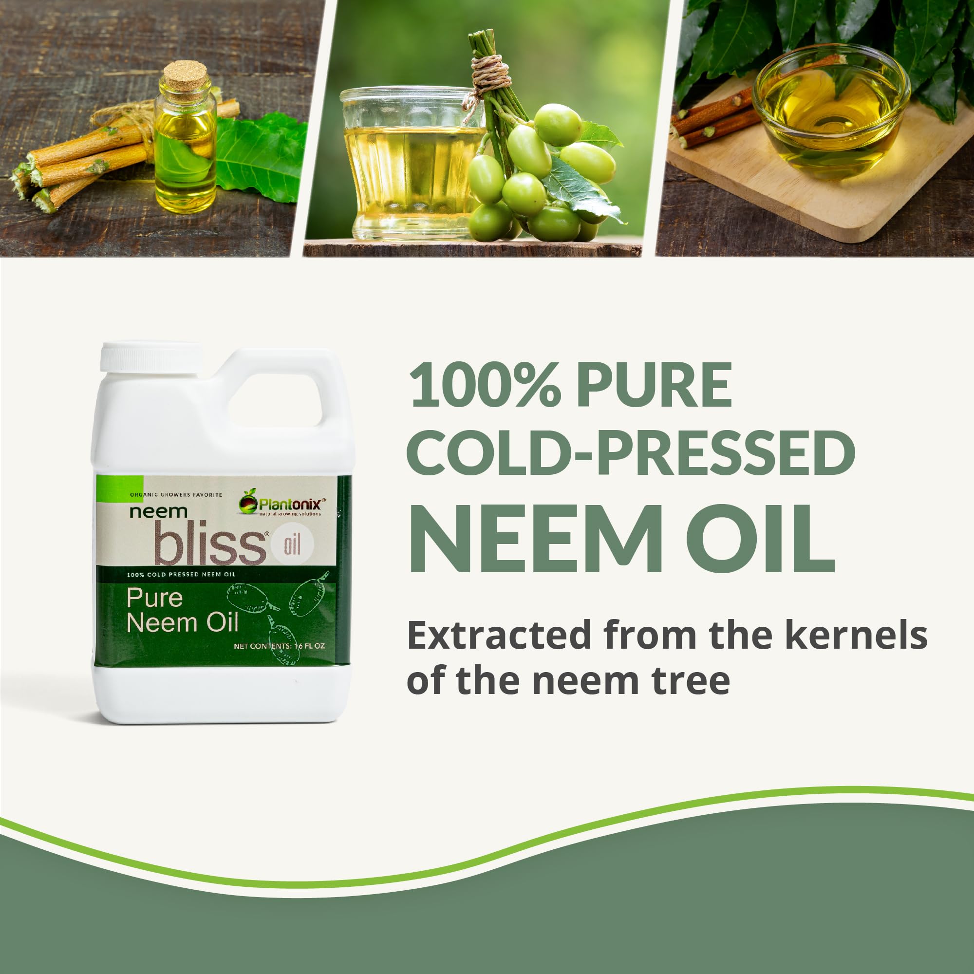 plantonix primer plano de textura del aceite de neem que resalta su pureza