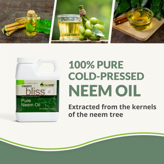 plantonix primer plano de textura del aceite de neem que resalta su pureza