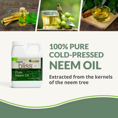 plantonix primer plano de textura del aceite de neem que resalta su pureza