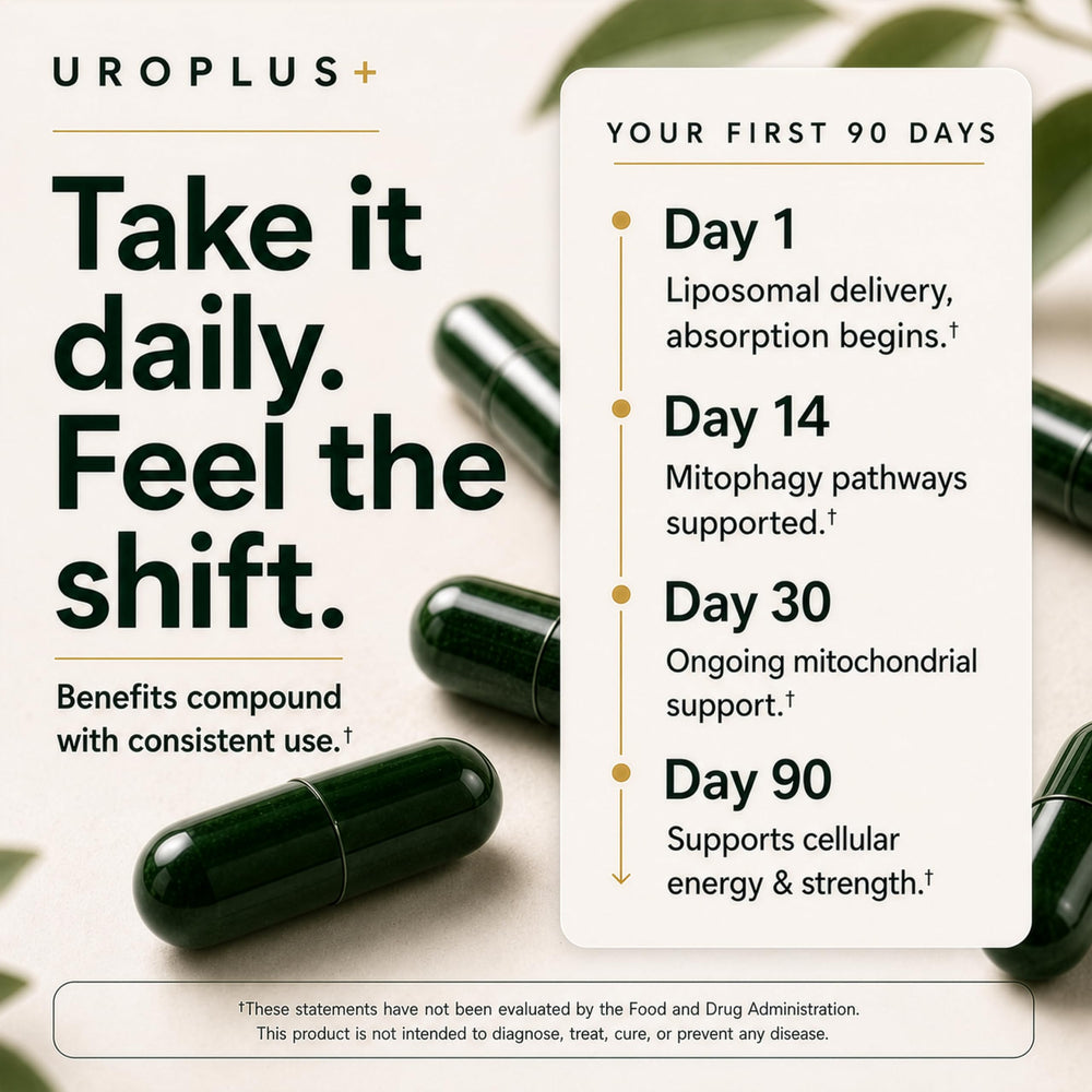 Plus+Ultra close-up de activos como resveratrol y colágeno señalando beneficios