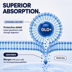 Plus+Ultra etiqueta con lista de ingredientes y claridad nutricional