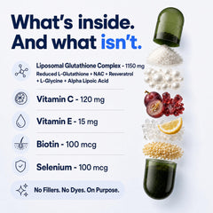 Plus+Ultra detalle liposomal que ilustra mayor absorción y protección