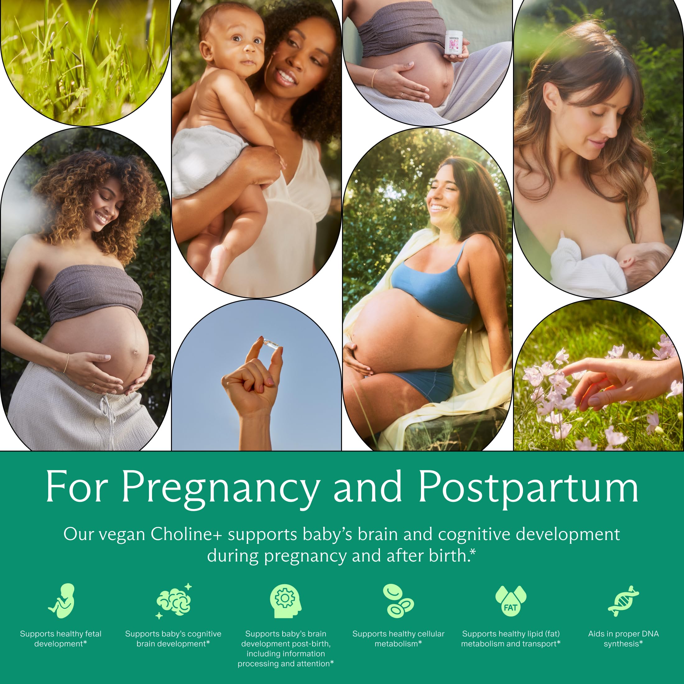 Prenatal Choline+ etiqueta trasera con información y pruebas de terceros
