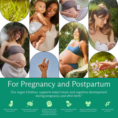 Prenatal Choline+ etiqueta trasera con información y pruebas de terceros