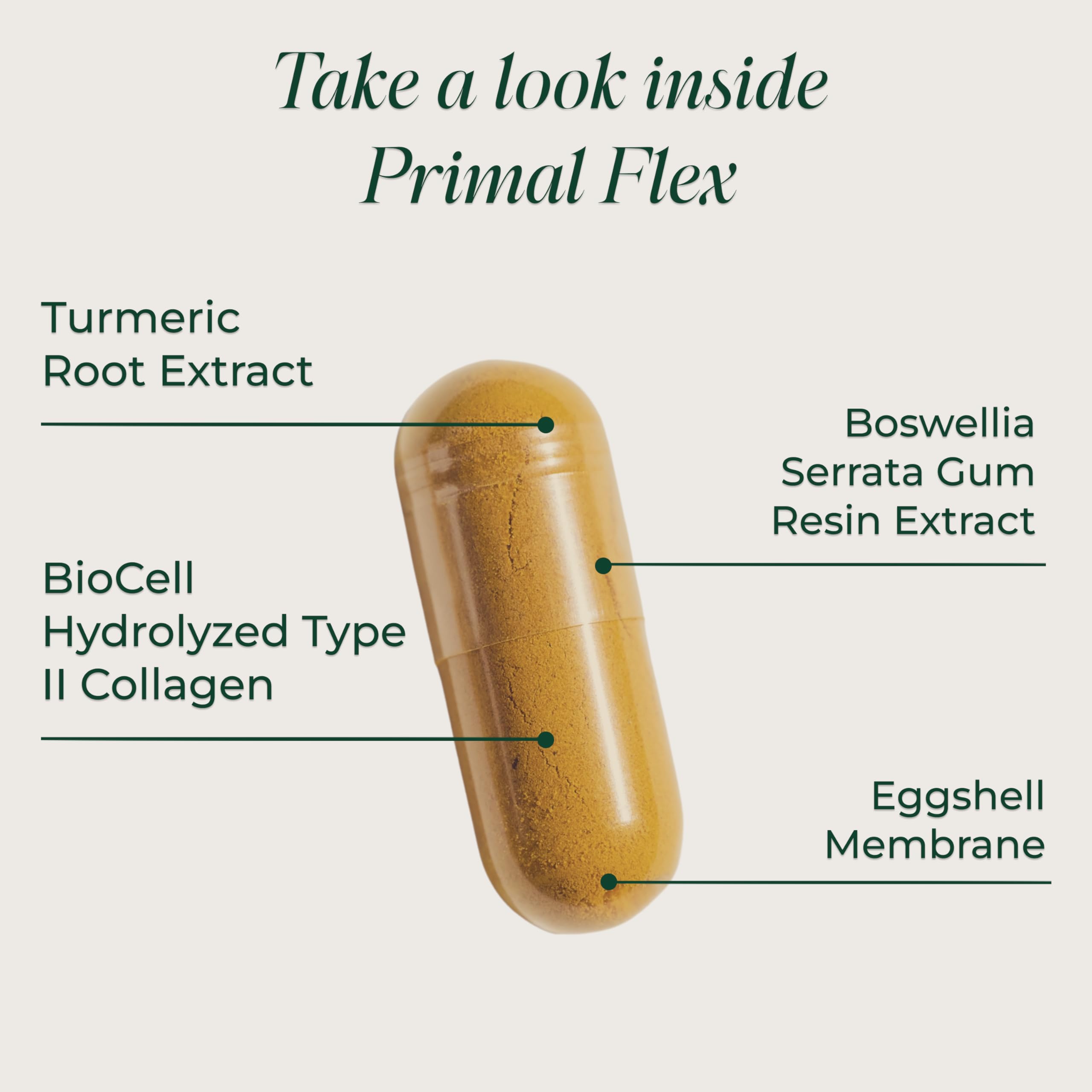 Primal Harvest Flex textura en primer plano de ingredientes en polvo