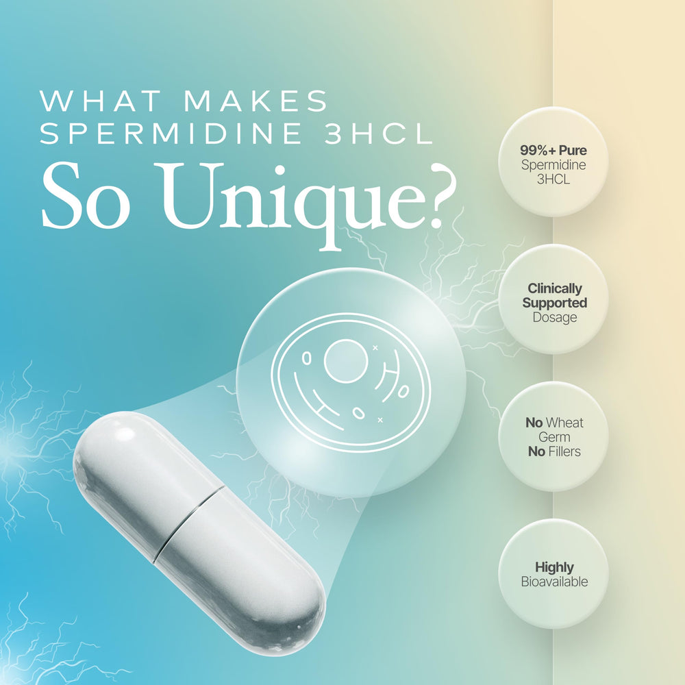 Prime Powders primer plano del polvo de spermidina mostrando pureza