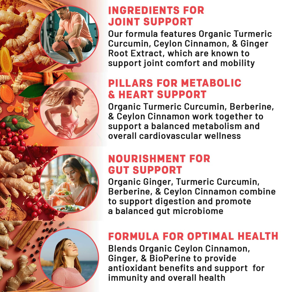 PrimeMD ingredientes orgánicos (cúrcuma, berberina, jengibre, canela) ordenados