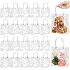 ProSuites vista frontal del paquete de 20 bolsas claro con asas mostrando orden
