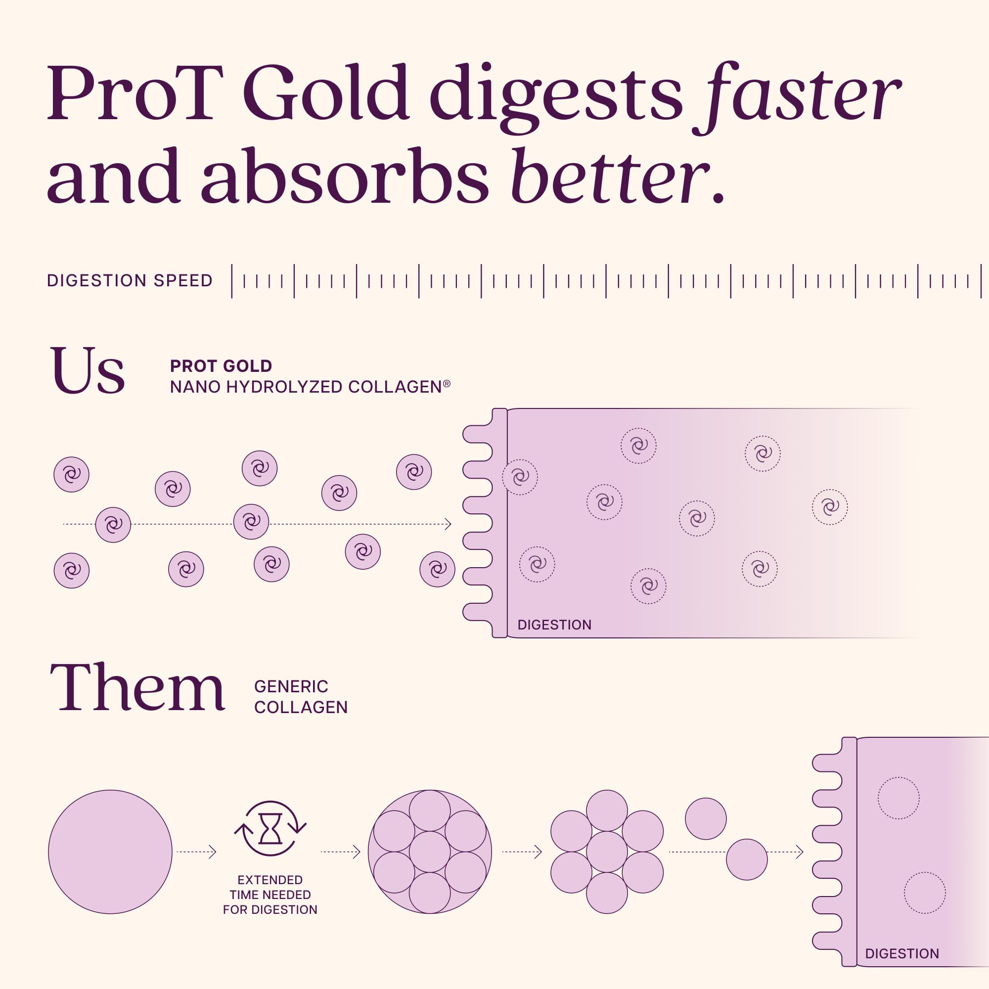 ProT Gold botella berry alternativa para consumo continuo y practicidad diaria
