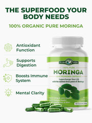 Pura Vida Moringa plantación en faldas volcánicas enfatizando suelo rico