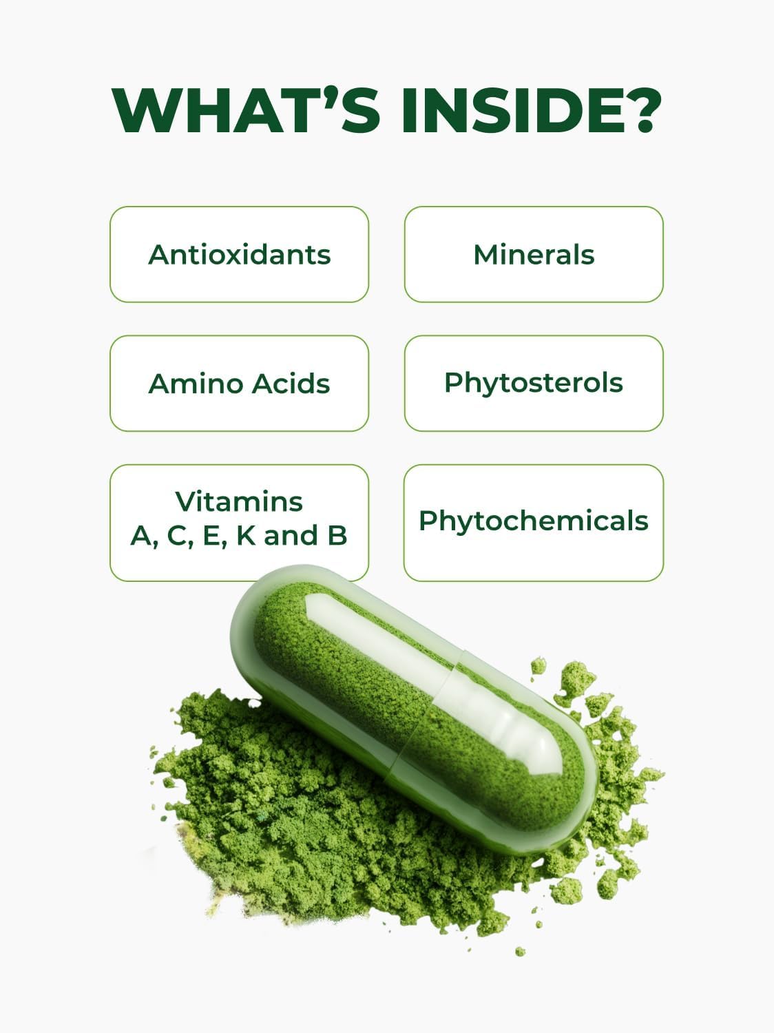 PURA VIDA MORINGA moringa creciendo en suelos volcánicos, origen controlado