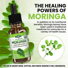 PURA VIDA MORINGA botella junto a moneda para comparar tamaño práctico