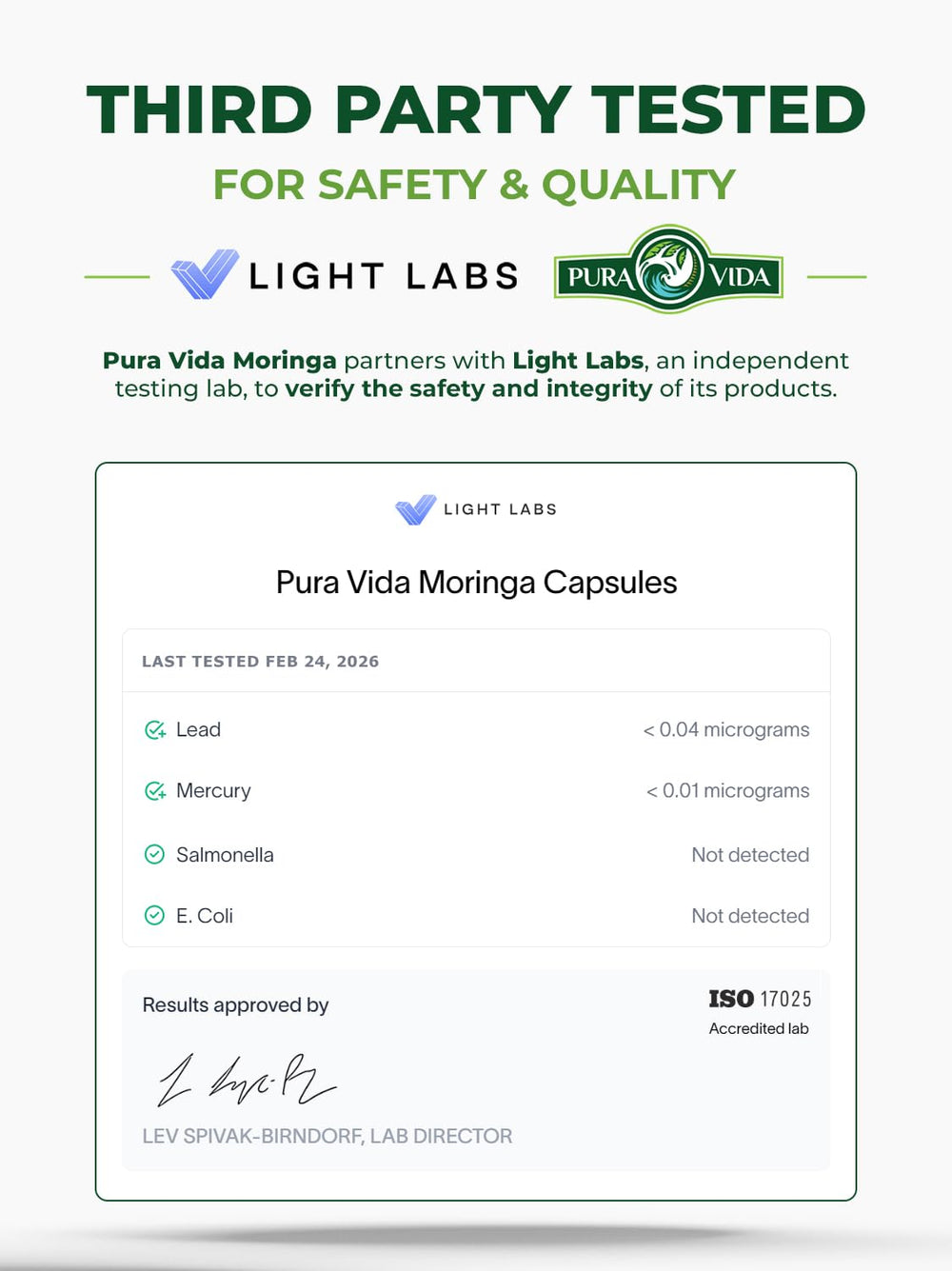 PURA VIDA MORINGA cápsula abierta mostrando contenido y pureza visible