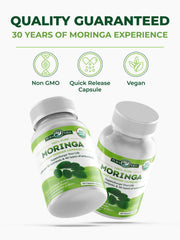 Pura Vida Moringa frasco abierto con 120 cápsulas para suministro prolongado