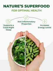 Pura Vida Moringa en mesa de desayuno integrándose en rutina diaria saludable