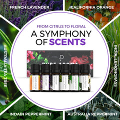 Pure Aroma difusor en sala demostrando ambientación natural