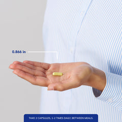 Comparación de tamaño de Pure Encapsulations Quercetina con mano, control de porciones