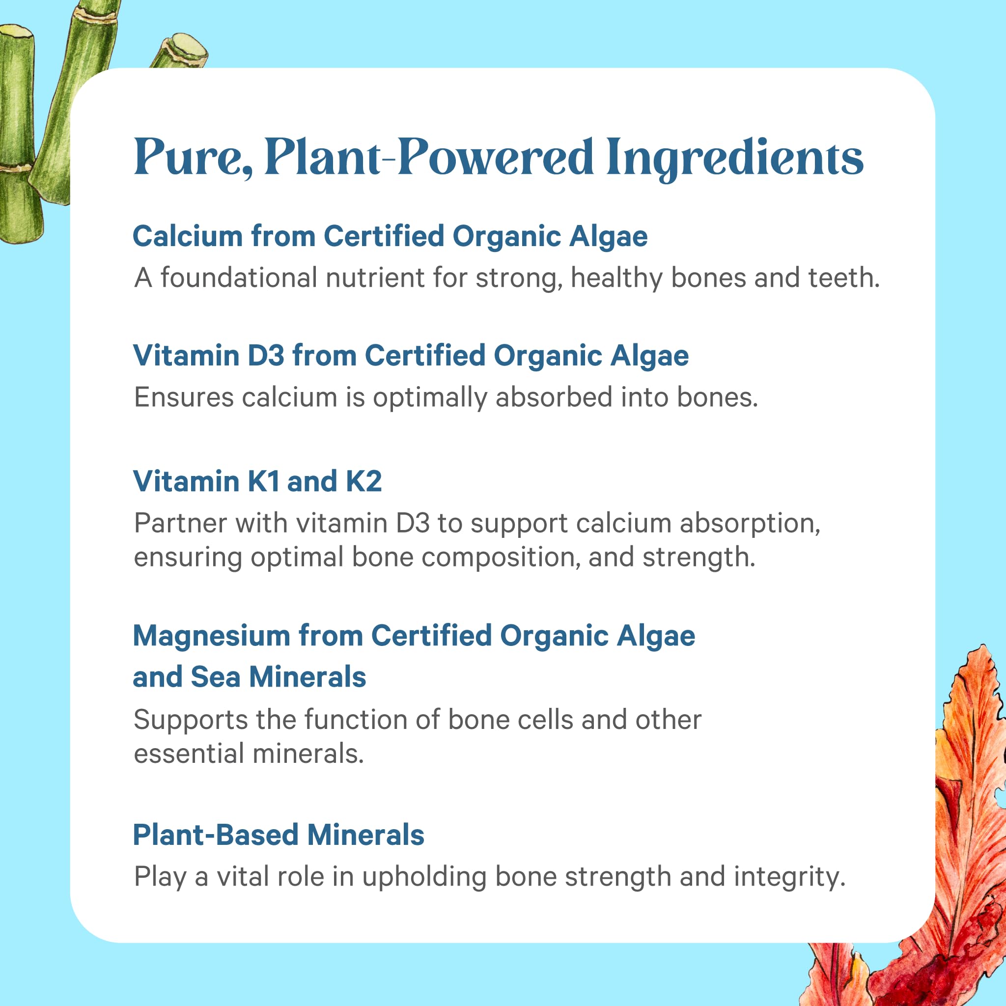 PURE SYNERGY polvo y plantas que destacan origen vegetal y pureza