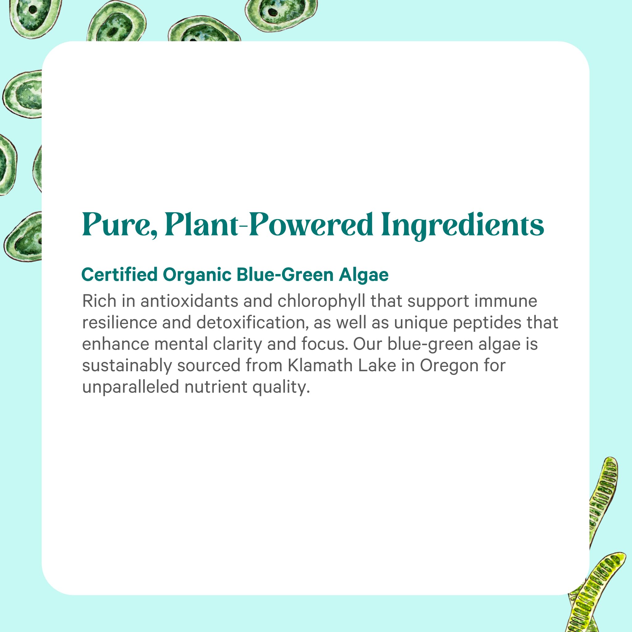 PURE SYNERGY botella abierta con cápsulas ordenadas sugiriendo dosis diaria