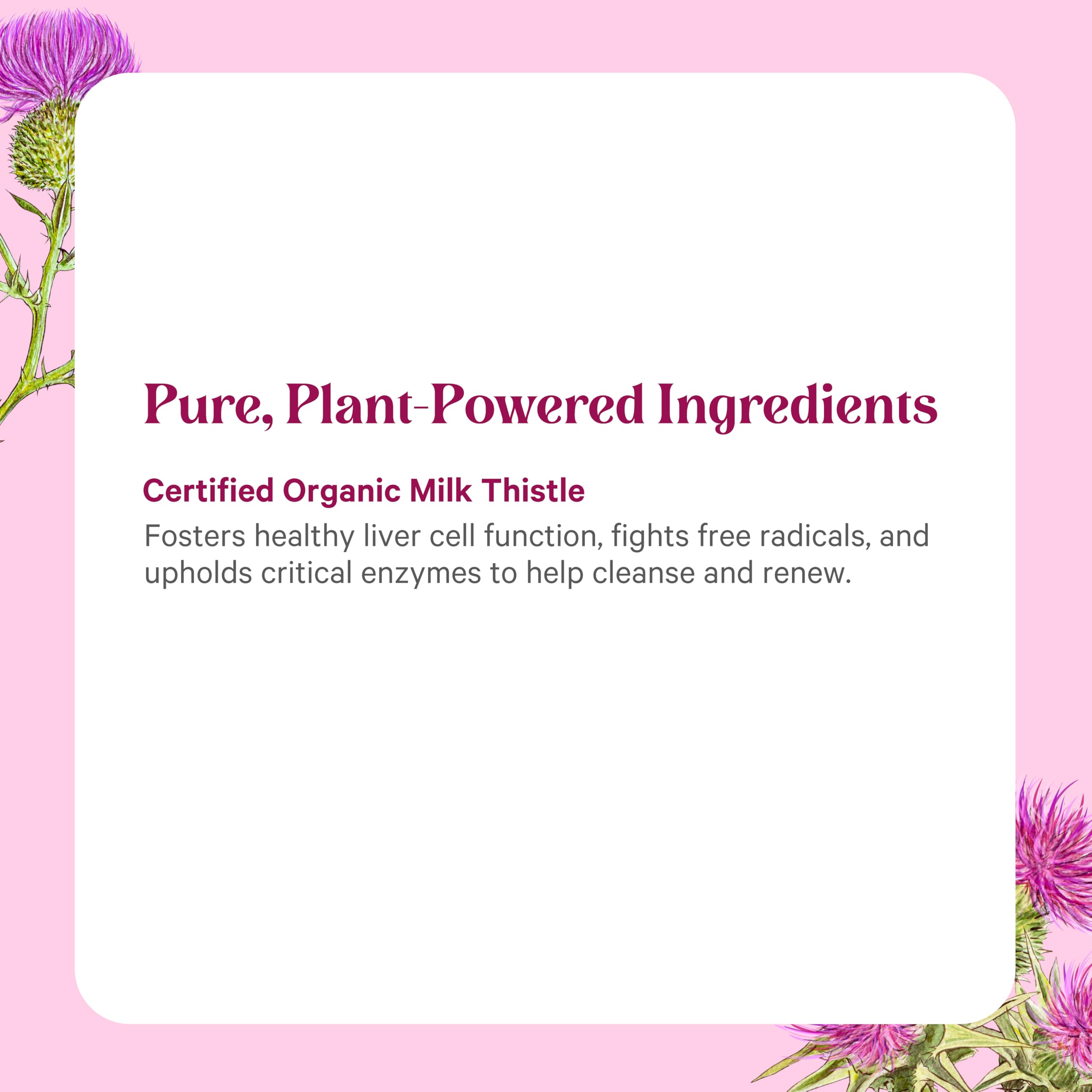 PURE SYNERGY cápsulas servidas en plato junto a semillas naturales