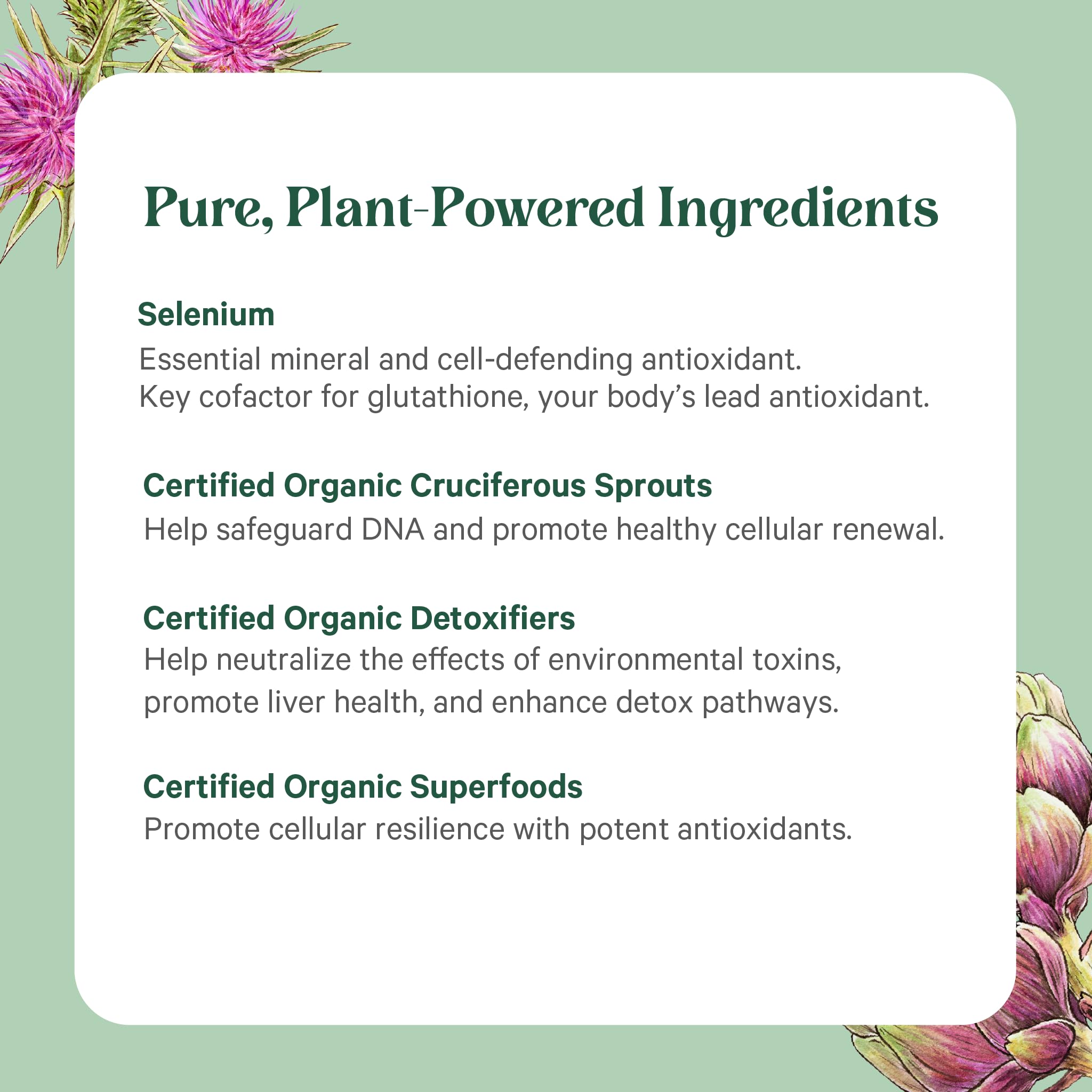 PURE SYNERGY etiqueta con lista de ingredientes y beneficios transparentes