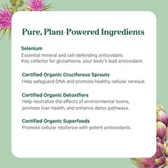 PURE SYNERGY etiqueta con lista de ingredientes y beneficios transparentes