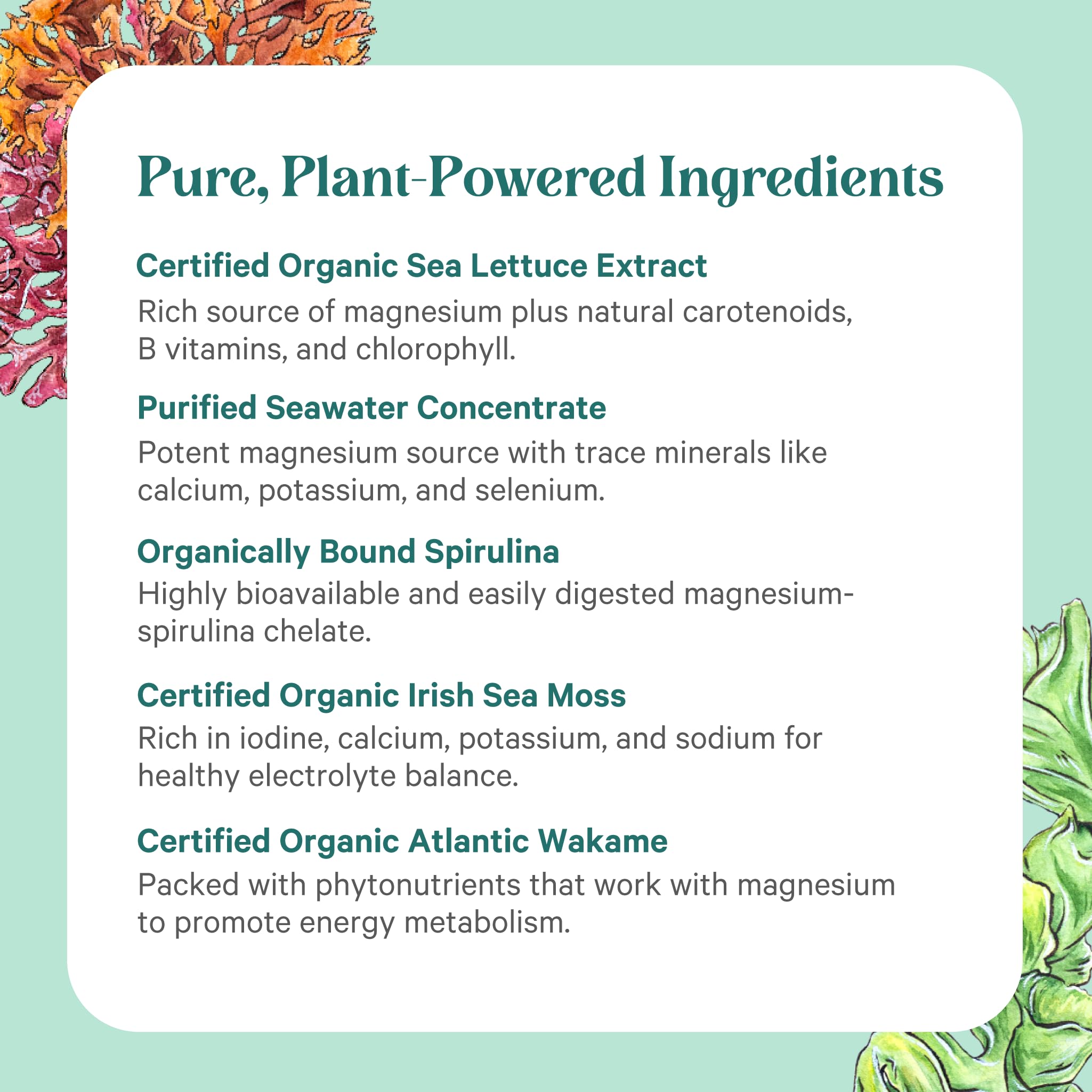 PURE SYNERGY etiqueta con información de ingredientes y certificaciones