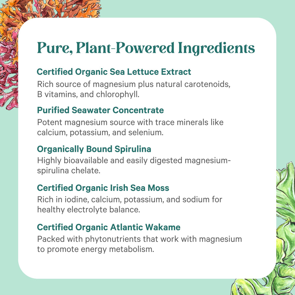 PURE SYNERGY etiqueta con información de ingredientes y certificaciones