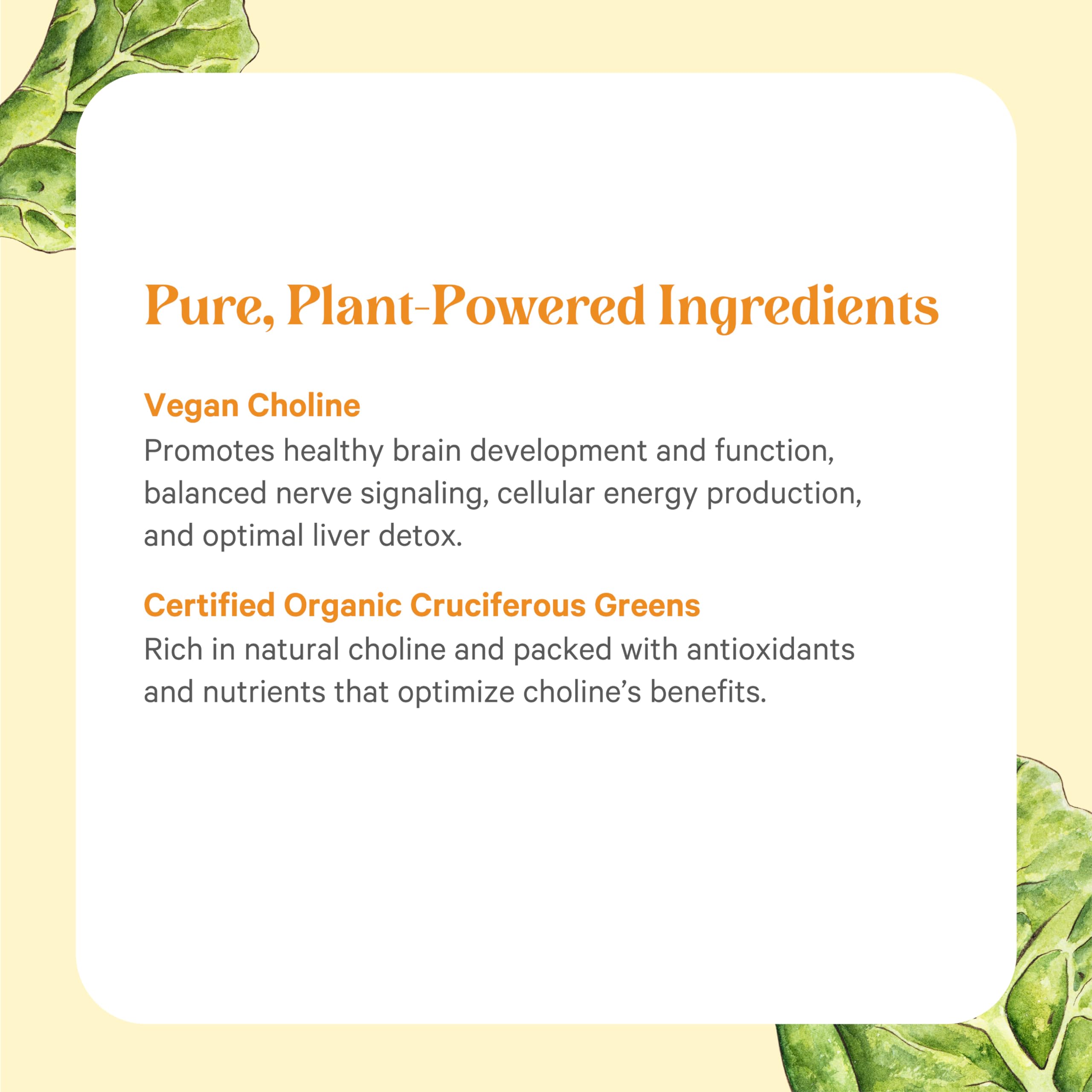 PURE SYNERGY etiqueta con sello Certified B Corp y certificaciones orgánicas
