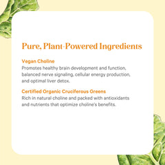 PURE SYNERGY etiqueta con sello Certified B Corp y certificaciones orgánicas