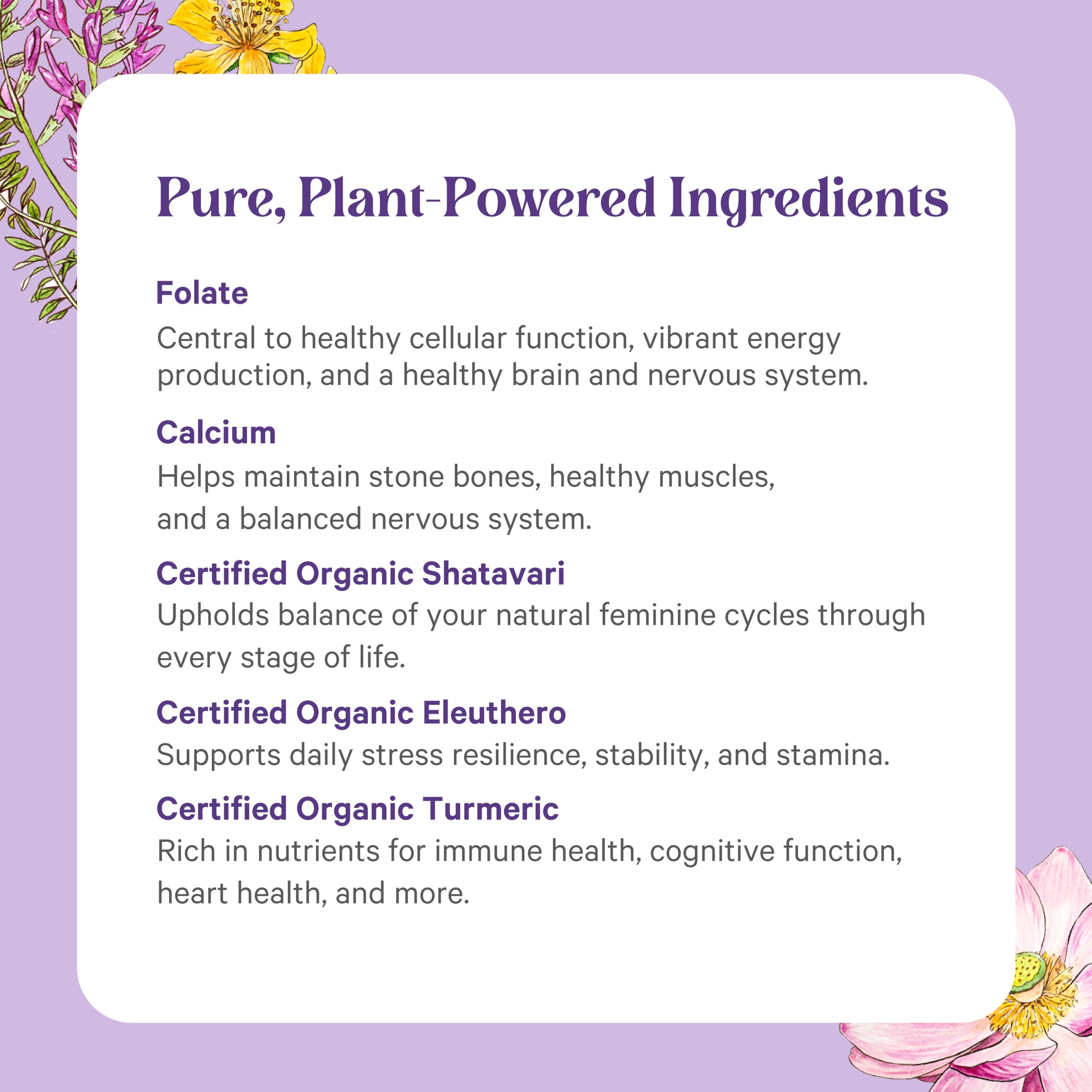 PURE SYNERGY ingredientes orgánicos en crudo resaltando pureza