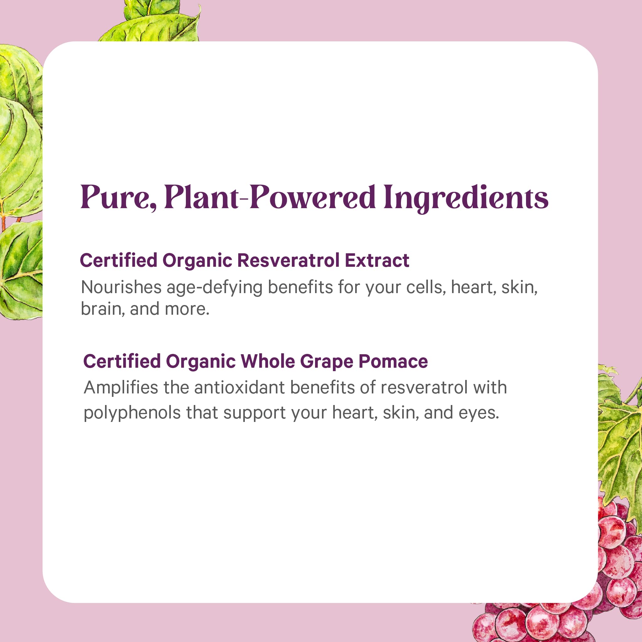 PURE SYNERGY ingredientes orgánicos: knotweed y cáscara de uva visualizados