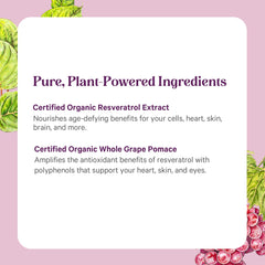 PURE SYNERGY ingredientes orgánicos: knotweed y cáscara de uva visualizados