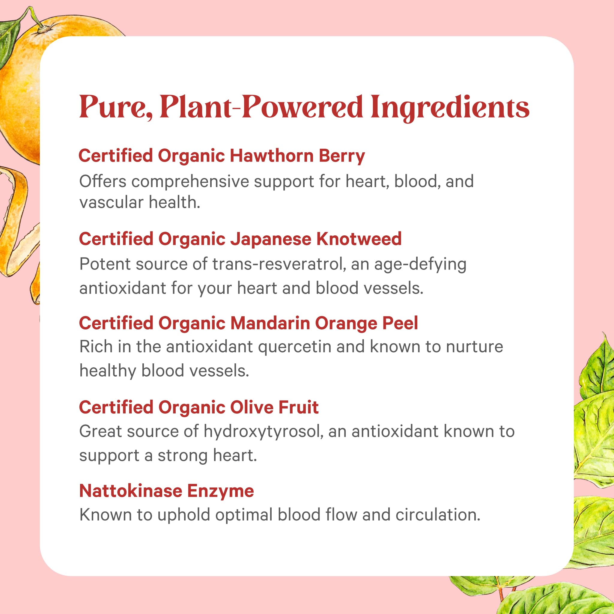 PURE SYNERGY frasco en mano para comparar tamaño y dosis recomendada